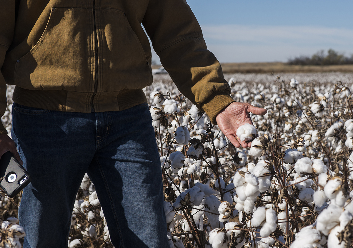 Plant breeders also are focusing on giving producers the tools they need to be viable. Bayer uses test fields across the South Plains to develop cotton varieties that will deliver the maximum yield with minimum input and standing up to the relatively volatile climate.